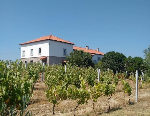 Quinta De Vodra Villa Seia Buitenkant foto
