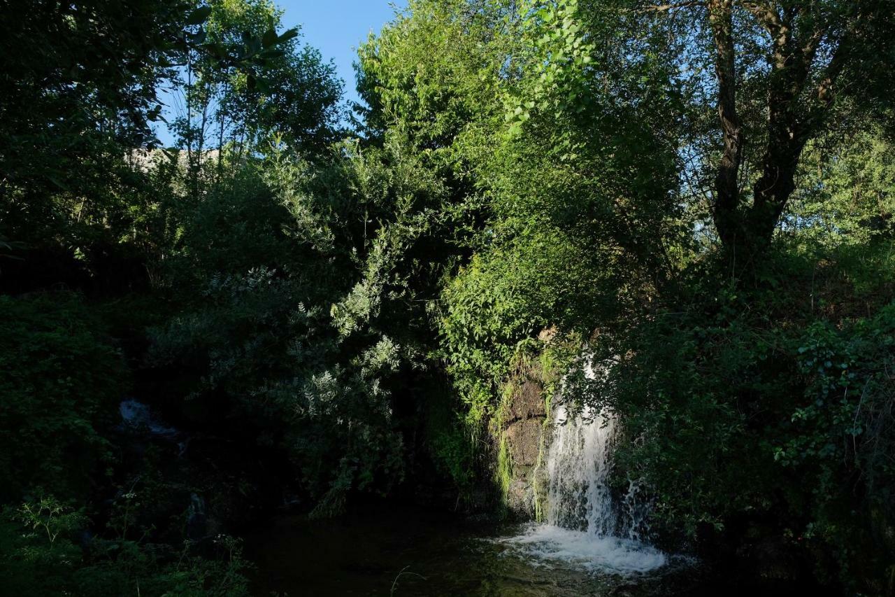Quinta De Vodra Villa Seia Buitenkant foto